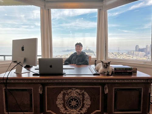 Koko Xs sitting at a large desk is front of large windows